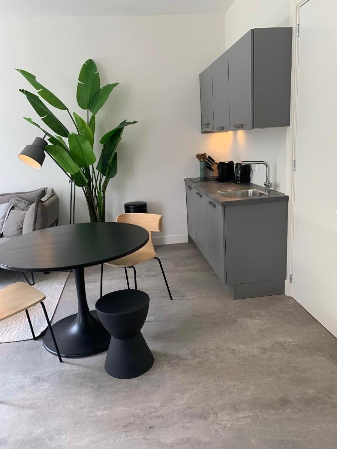 Apartment - Maliesingel *